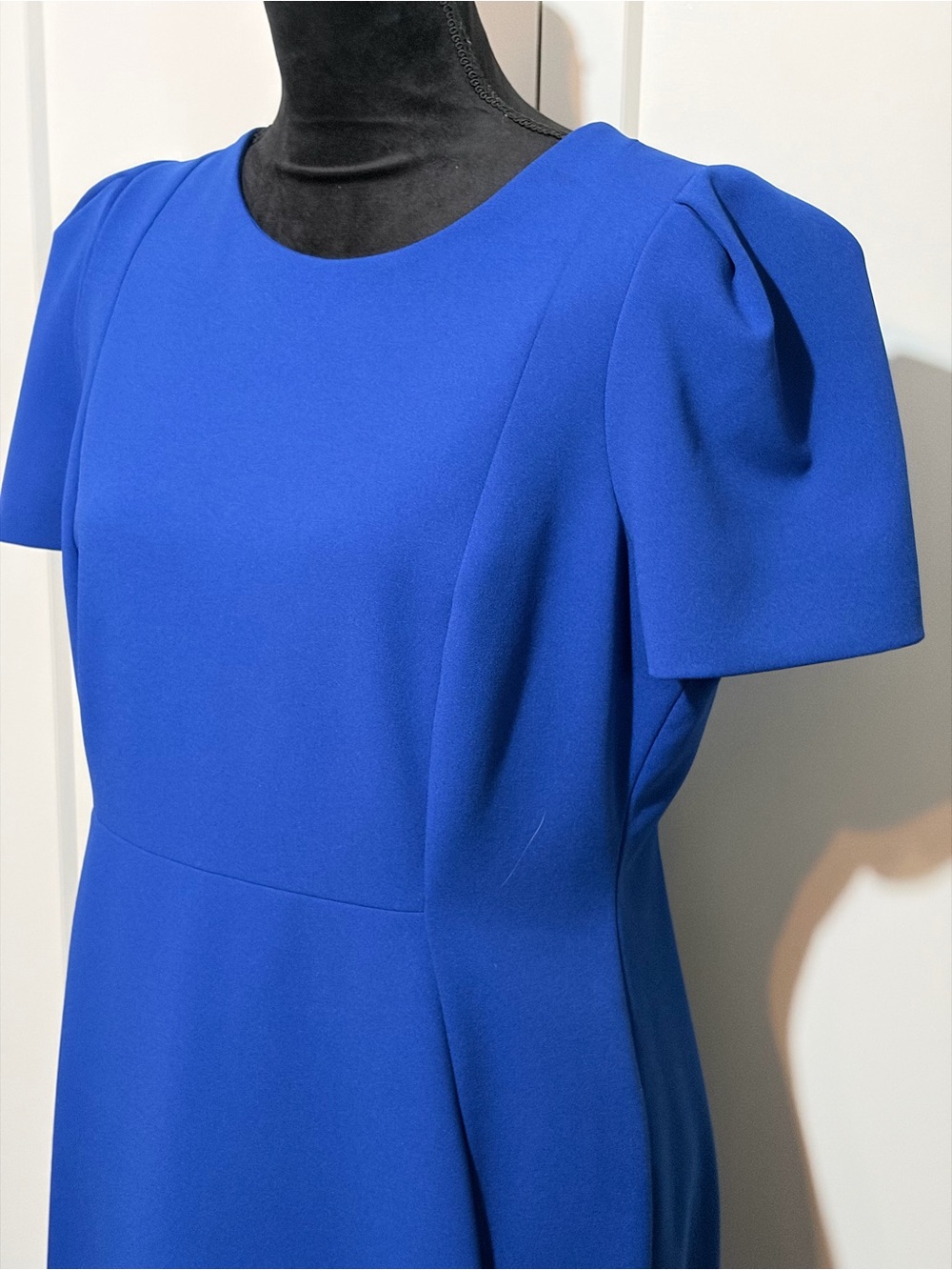 Calvin Klein’s Royal Dress with Puff Sleeves and Placket Front and Back Zipper